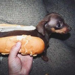 hotdoogs
