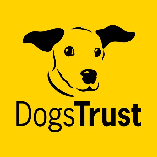 Stream Dogs Trust | Listen to Sound Therapy | Sounds Scary | Main Tracks  playlist online for free on SoundCloud