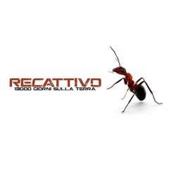 Recattivo