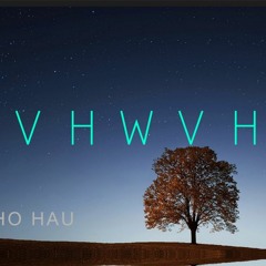 V H W V H