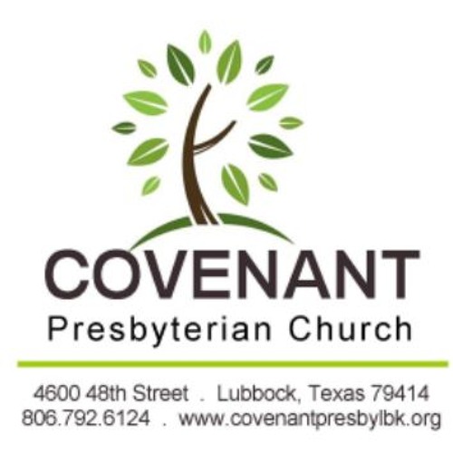 Covenant Sermons’s avatar
