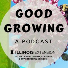 Ep. 111 Tips for Pollinators & favorite plants | #goodgrowing