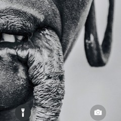 Kiley Shane Broughton