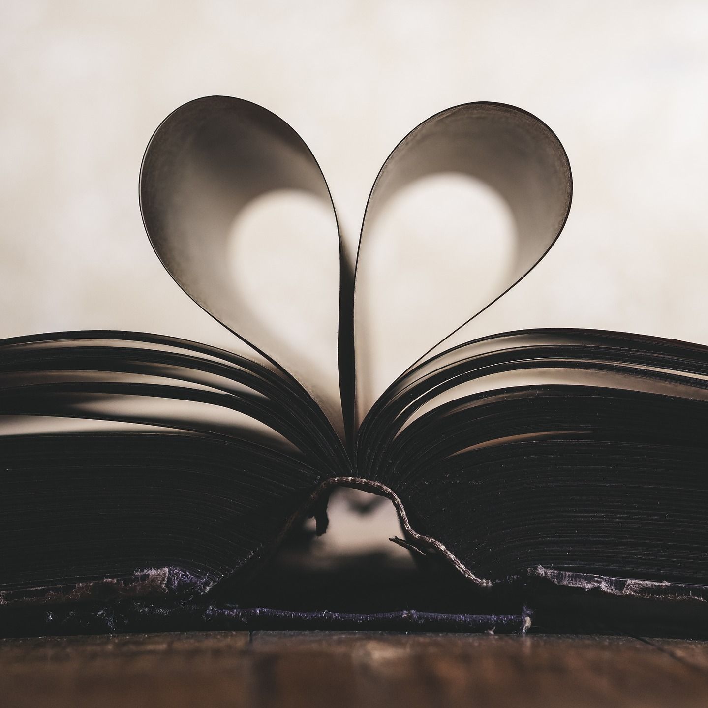 Building Book Love