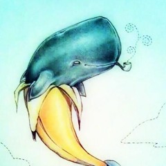 The Not So Salty whale