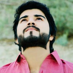 SYED AHSAN AGHA