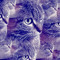 Artless_Diamond