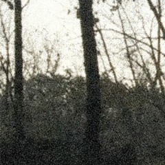 friends aren't enough