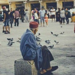 Mohamed Elwardany