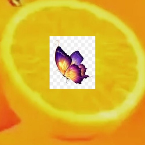 interestingbutterflies’s avatar