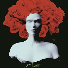 Black_System95