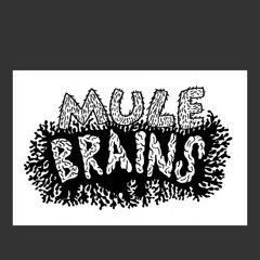 Mule Brains