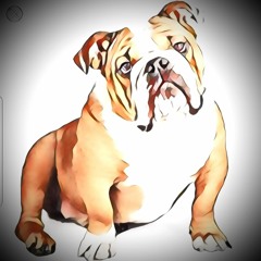 The Mack Attack Show