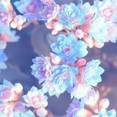 Laila Majnu - Full Song   Aaja Nachle