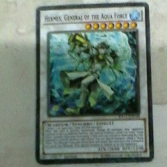 duke hwe