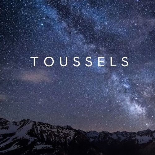 DJ Toussels’s avatar