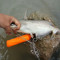 Man Fishing