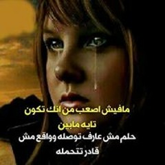 نور القرآن