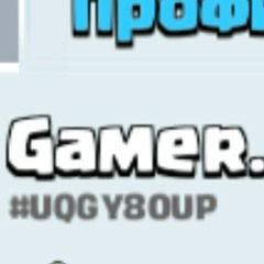 Gamer_VIP