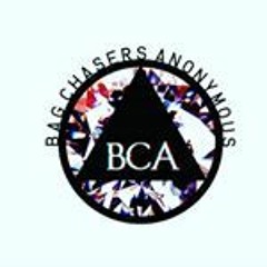 Bag Chasers Anonymous (B.C.A.)