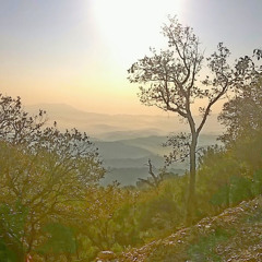 extrokofky : (extro)