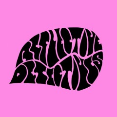 Reflective Detectives