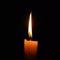 CANDEL SAU