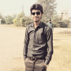 majid raza