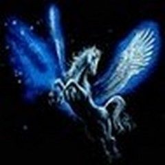 User 816865507