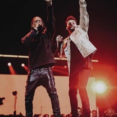 DINOSAURS - TRAVIS SCOTT