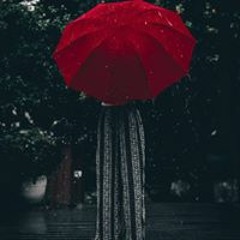 New private playlist