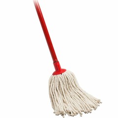 Lil Mop