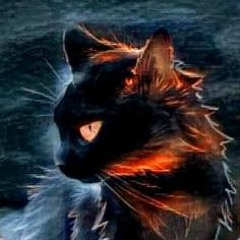 Kittentheboss