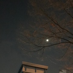 보경