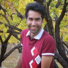 Ehsan Moghimi