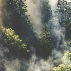 Никита Чернов