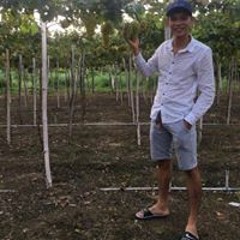 Minh VG