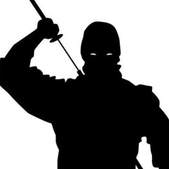Ninja Gaming