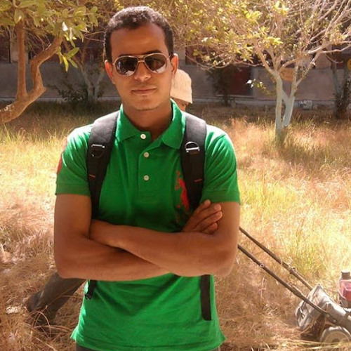 Ahmed Haridi’s avatar