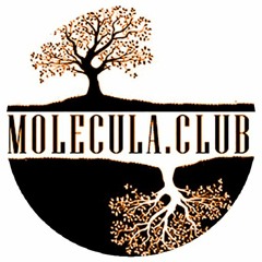 Molecula.club