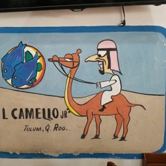 camel109