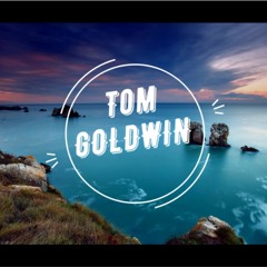 Halott Pénz -  Hajtól Szívig (Tom Goldwin Remix 2019)