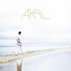 V I N C E N T  •  P O L Y C A R P E