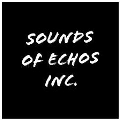 SilentTown Of Echoes