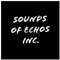 SilentTown Of Echoes