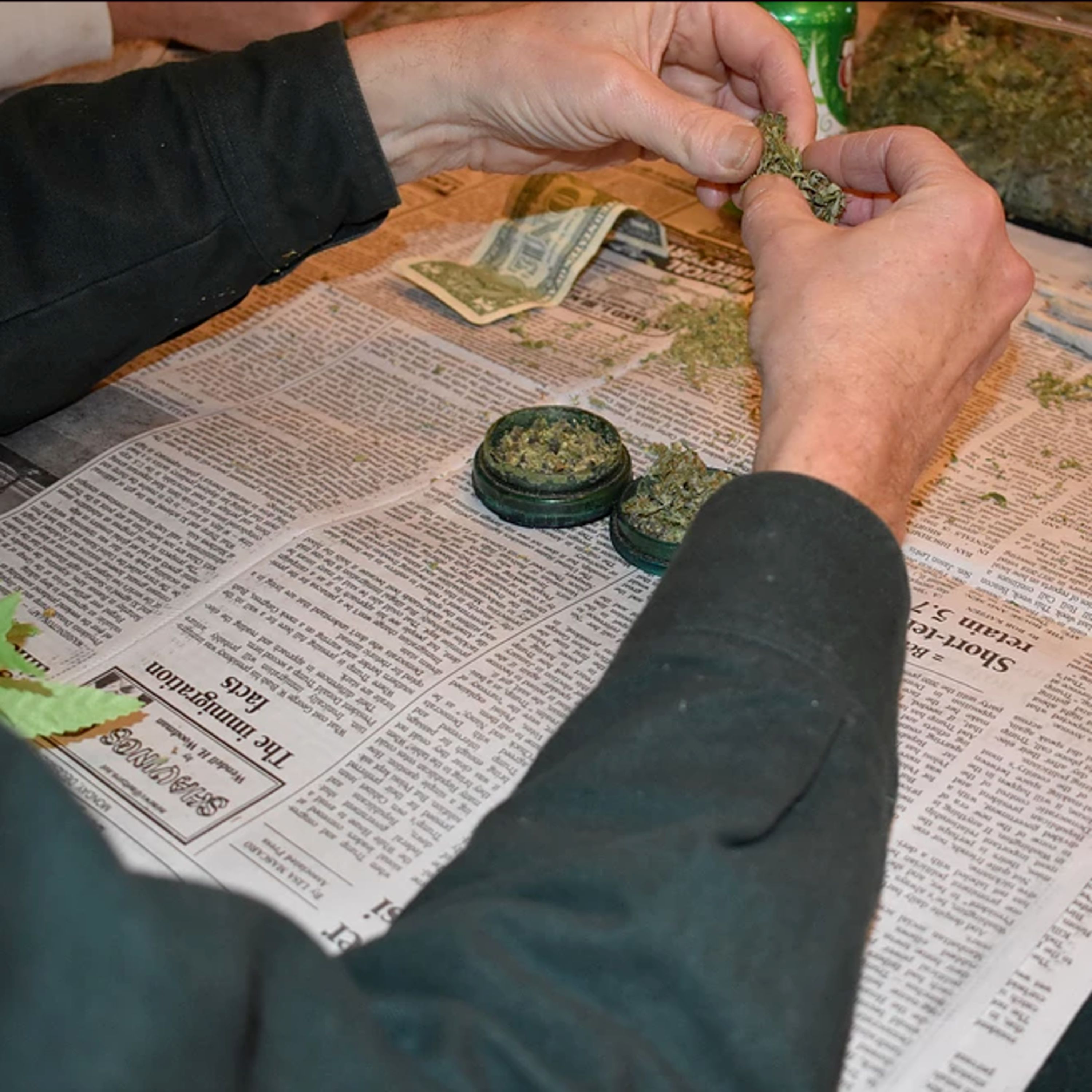 Make Weed Make Sense