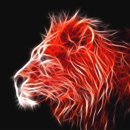 Driver - Kulbir Jhinjer