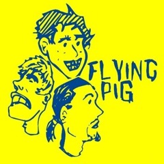 Flying Pig