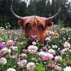Coeur Fleur