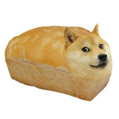 SammyStrap
